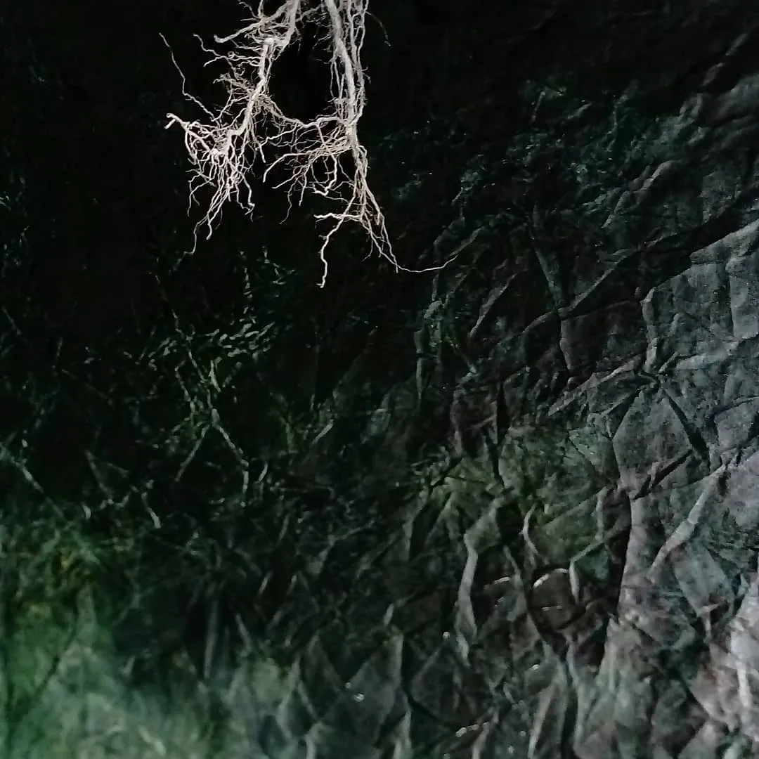 souviens toi d'où tu viens